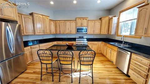 Tiny photo for 1020 Parkway Lane, Woodland Park, CO 80863 (MLS # 7404956)