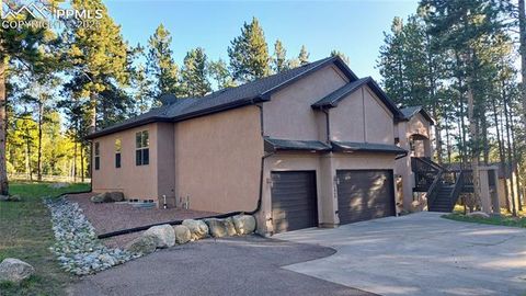 Tiny photo for 1020 Parkway Lane, Woodland Park, CO 80863 (MLS # 7404956)