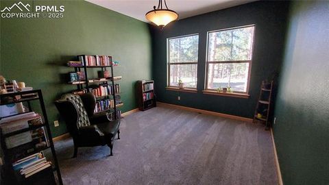 Tiny photo for 1020 Parkway Lane, Woodland Park, CO 80863 (MLS # 7404956)