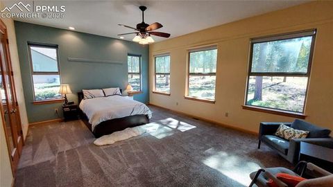 Tiny photo for 1020 Parkway Lane, Woodland Park, CO 80863 (MLS # 7404956)