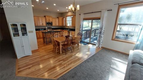Tiny photo for 1020 Parkway Lane, Woodland Park, CO 80863 (MLS # 7404956)