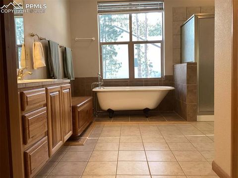 Tiny photo for 1020 Parkway Lane, Woodland Park, CO 80863 (MLS # 7404956)