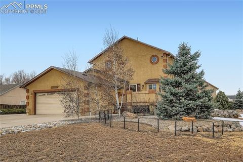 Photo of 9470 Blue Grass Place, Colorado Springs, CO 80925 (MLS # 1620922)