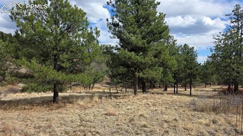 Photo of 2002 Comanche Circle, Florissant, CO 80816 (MLS # 8955155)