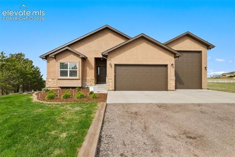 Photo of 16504 Fletcherville Lane, Peyton, CO 80831 (MLS # 4724717)