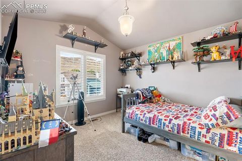 Tiny photo for 2519 Hot Springs Court, Colorado Springs, CO 80919 (MLS # 2627922)