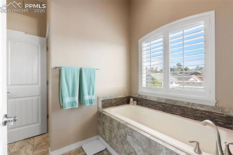 Tiny photo for 2519 Hot Springs Court, Colorado Springs, CO 80919 (MLS # 2627922)