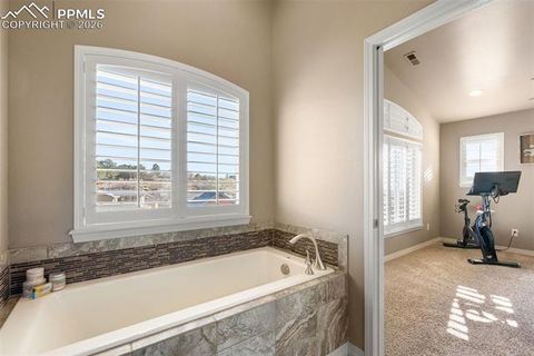 Tiny photo for 2519 Hot Springs Court, Colorado Springs, CO 80919 (MLS # 2627922)