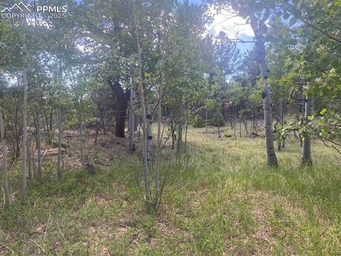 Photo of 94146 County Road 403, Florissant, CO 80816 (MLS # 1977072)