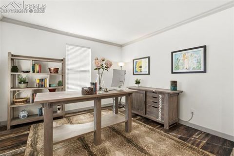 Tiny photo for 3945 Forever Circle, Castle Rock, CO 80109 (MLS # 7872931)