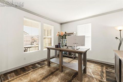 Tiny photo for 3945 Forever Circle, Castle Rock, CO 80109 (MLS # 7872931)