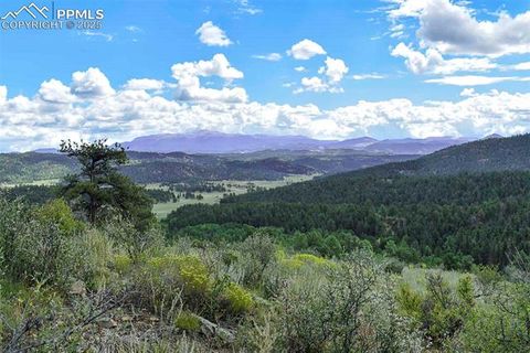 Photo of 231 Deer Lane, Guffey, CO 80820 (MLS # 1721010) Photo of 231 Deer Lane, Guffey, CO 80820 (MLS # 1721010)