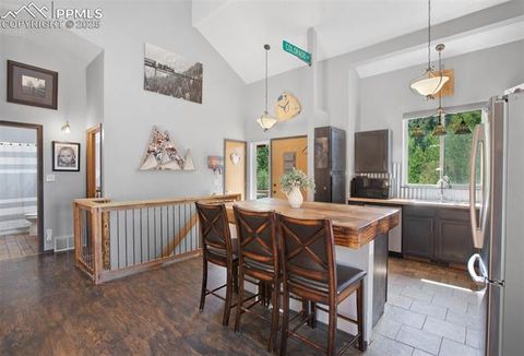 Tiny photo for 181 Valley Lane, Woodland Park, CO 80863 (MLS # 4907347)