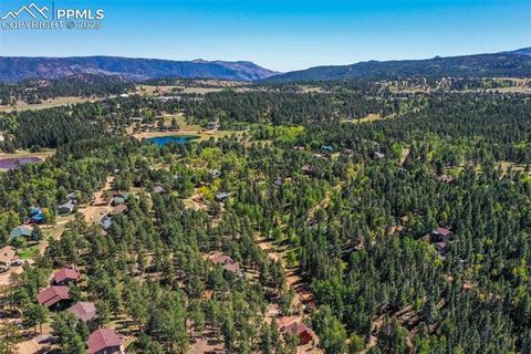 Tiny photo for 181 Valley Lane, Woodland Park, CO 80863 (MLS # 4907347)