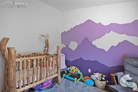 Tiny photo for 181 Valley Lane, Woodland Park, CO 80863 (MLS # 4907347)