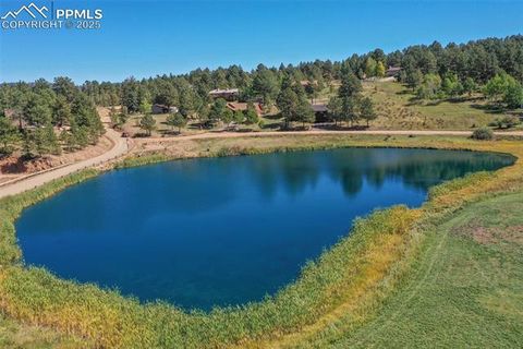 Tiny photo for 181 Valley Lane, Woodland Park, CO 80863 (MLS # 4907347)