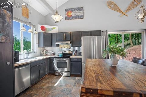 Tiny photo for 181 Valley Lane, Woodland Park, CO 80863 (MLS # 4907347)