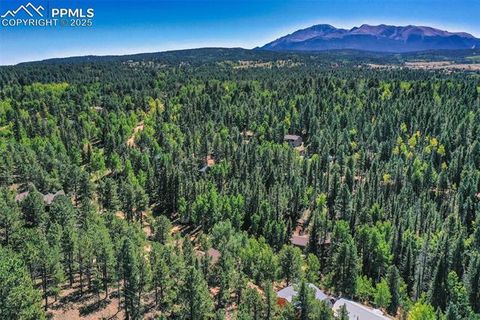 Tiny photo for 181 Valley Lane, Woodland Park, CO 80863 (MLS # 4907347)