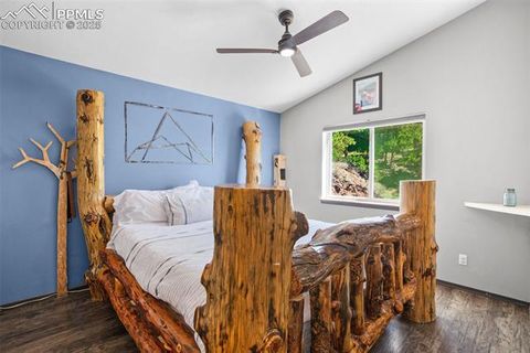 Tiny photo for 181 Valley Lane, Woodland Park, CO 80863 (MLS # 4907347)