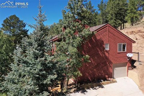 Tiny photo for 181 Valley Lane, Woodland Park, CO 80863 (MLS # 4907347)
