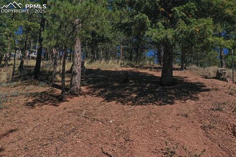 Tiny photo for 181 Valley Lane, Woodland Park, CO 80863 (MLS # 4907347)