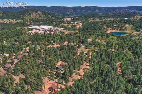 Tiny photo for 181 Valley Lane, Woodland Park, CO 80863 (MLS # 4907347)