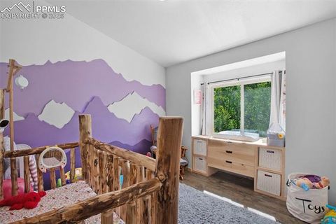 Tiny photo for 181 Valley Lane, Woodland Park, CO 80863 (MLS # 4907347)