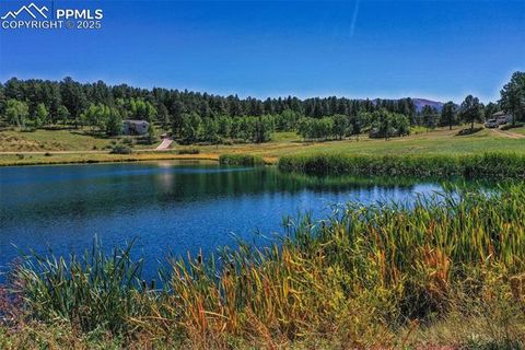 Tiny photo for 181 Valley Lane, Woodland Park, CO 80863 (MLS # 4907347)