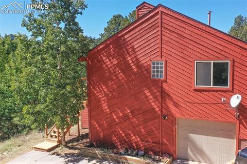 Tiny photo for 181 Valley Lane, Woodland Park, CO 80863 (MLS # 4907347)