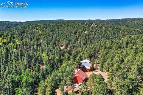 Tiny photo for 181 Valley Lane, Woodland Park, CO 80863 (MLS # 4907347)