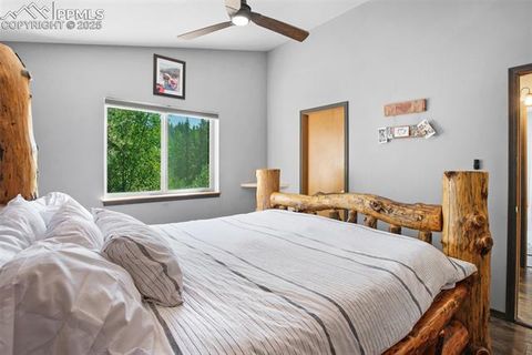 Tiny photo for 181 Valley Lane, Woodland Park, CO 80863 (MLS # 4907347)