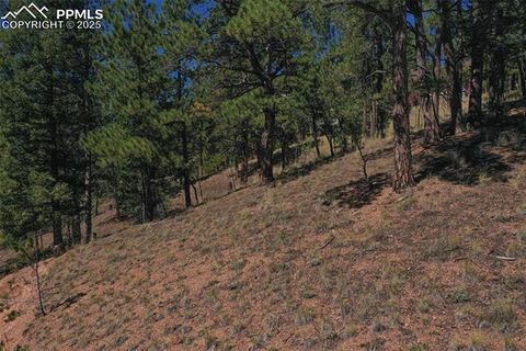 Tiny photo for 181 Valley Lane, Woodland Park, CO 80863 (MLS # 4907347)