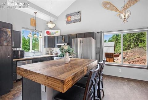Tiny photo for 181 Valley Lane, Woodland Park, CO 80863 (MLS # 4907347)