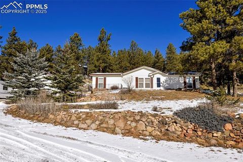 Photo of 271 Circle Drive, Florissant, CO 80816 (MLS # 8429768)