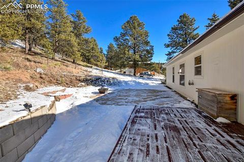 Tiny photo for 271 Circle Drive, Florissant, CO 80816 (MLS # 8429768)