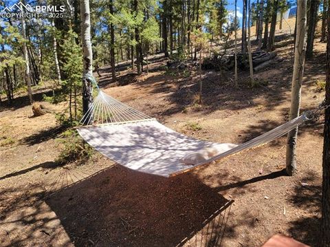 Tiny photo for 40 Flathead Lane, Woodland Park, CO 80863 (MLS # 9493714)