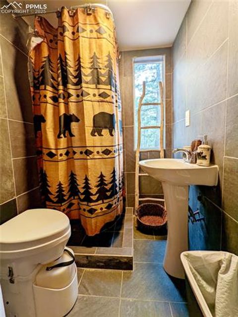 Tiny photo for 40 Flathead Lane, Woodland Park, CO 80863 (MLS # 9493714)