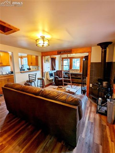 Tiny photo for 40 Flathead Lane, Woodland Park, CO 80863 (MLS # 9493714)