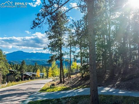 Photo of 270 Thunder Ridge Drive, Woodland Park, CO 80863 (MLS # 8596301)