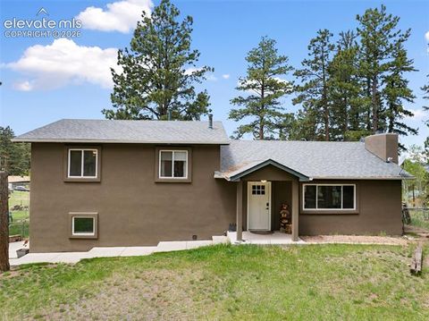 Photo of 10 Ollie Court, Woodland Park, CO 80863 (MLS # 1729132)