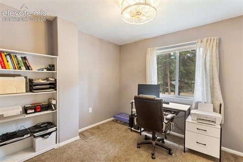 Tiny photo for 10 Ollie Court, Woodland Park, CO 80863 (MLS # 1729132)