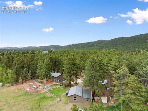 Tiny photo for 10 Ollie Court, Woodland Park, CO 80863 (MLS # 1729132)