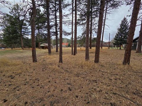 Photo of 224 S Fairview Street, Woodland Park, CO 80863 (MLS # 7676104)