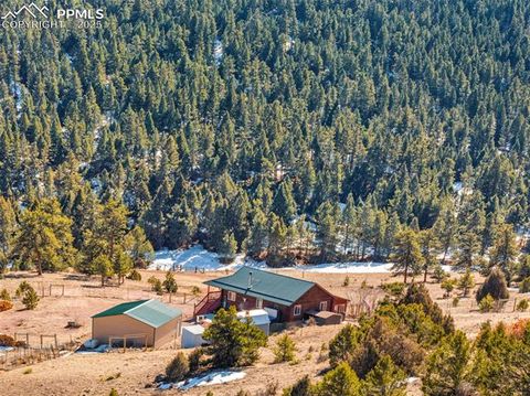 1918 Kelly Creek Trail Canon City CO 81212
