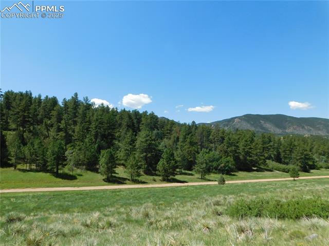4668 Comanche Drive, Larkspur, CO, 80118 4668 Comanche Drive