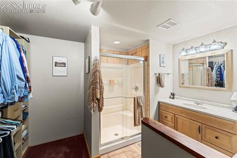 Tiny photo for 8025 Topeka Avenue, Cascade, CO 80809 (MLS # 5170691)