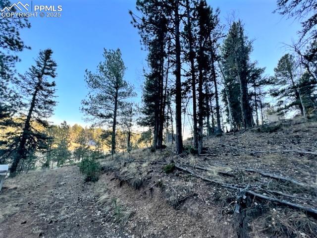 233 Rabbil Creek Drive