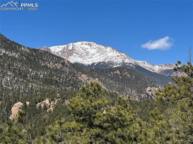 339 Eagle Mountain Road