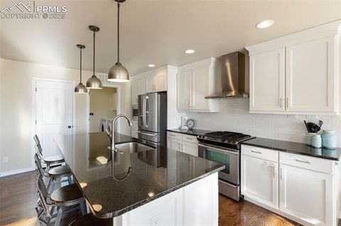 Tiny photo for 9033 Kennebec Pass Trail, Colorado Springs, CO 80924 (MLS # 8911916)