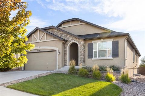 Photo of 9033 Kennebec Pass Trail, Colorado Springs, CO 80924 (MLS # 8911916)